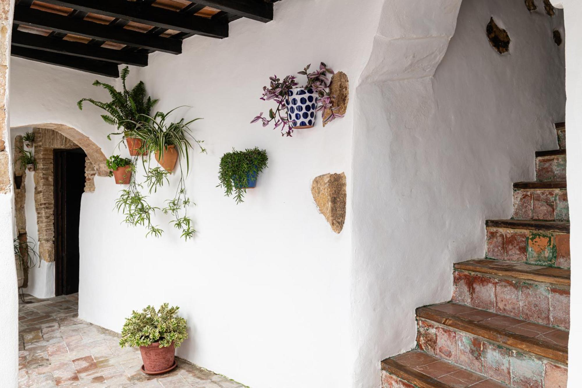Casa Lunarito Vejer de la Frontera Exterior photo